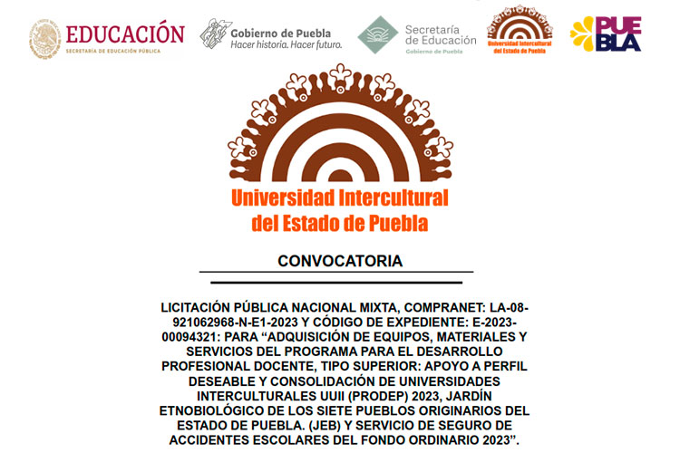  Soportes de escalada en roca para niños  Juego de 15 agarres  de resina para escalada en roca para interiores y exteriores, pared de  escalada incluyendo accesorios de montaje chapados en